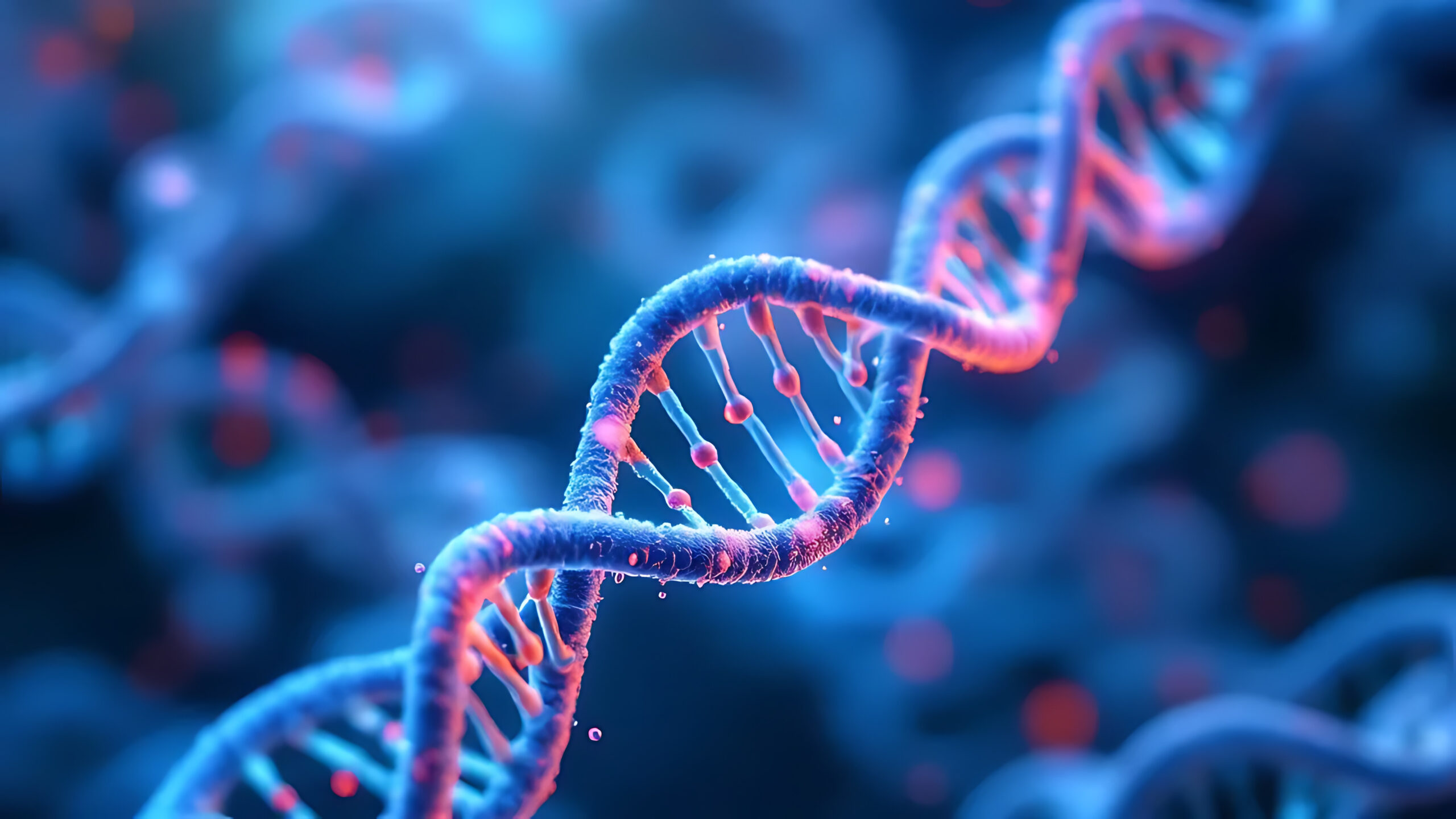 Postdoctoral position in neurodevelopment
