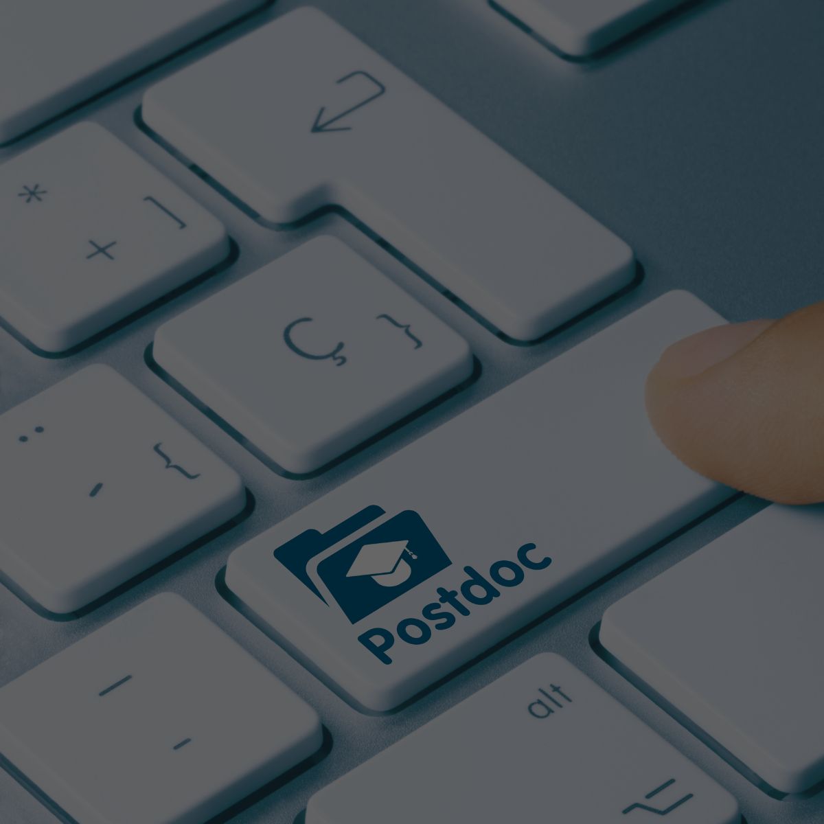  Postdoc position for a (bio)physicist, engineer or computational scientist 