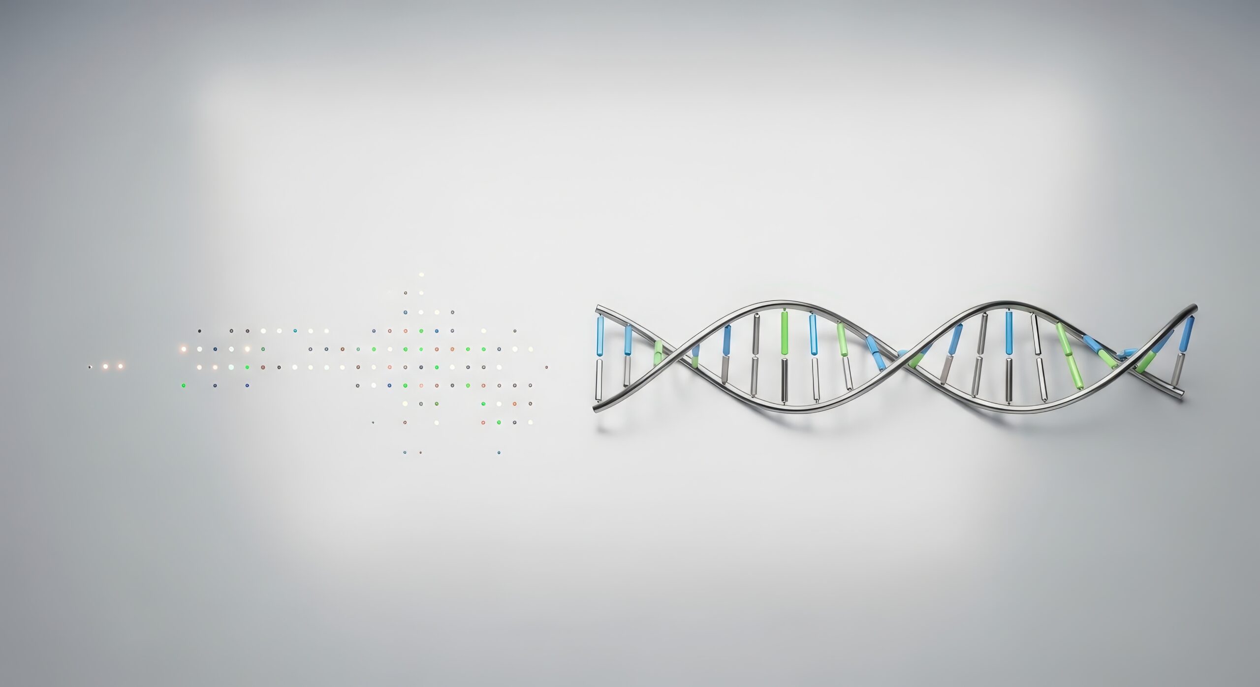  STORIES: learning cell fate landscapes from spatial transcriptomics using optimal transport 