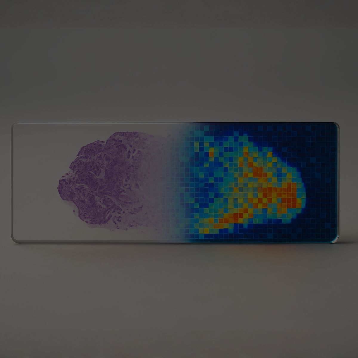  Engineering position on spatial genomics 