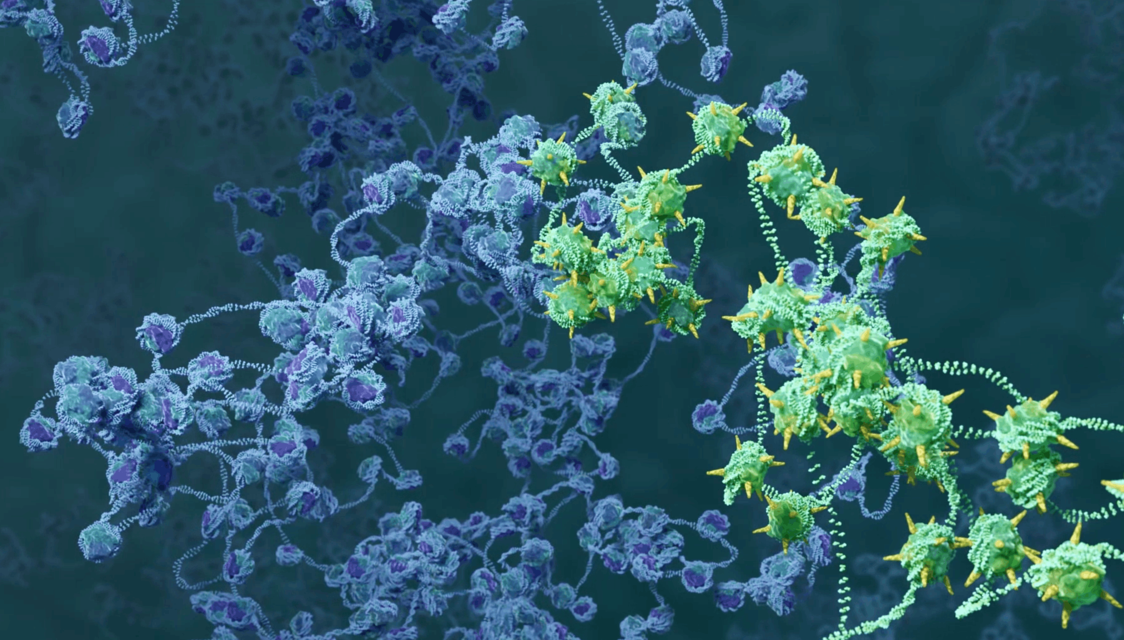  Transient histone deacetylase inhibition induces cellular memory of gene expression and 3D genome folding. Nat Genetics, in press. 