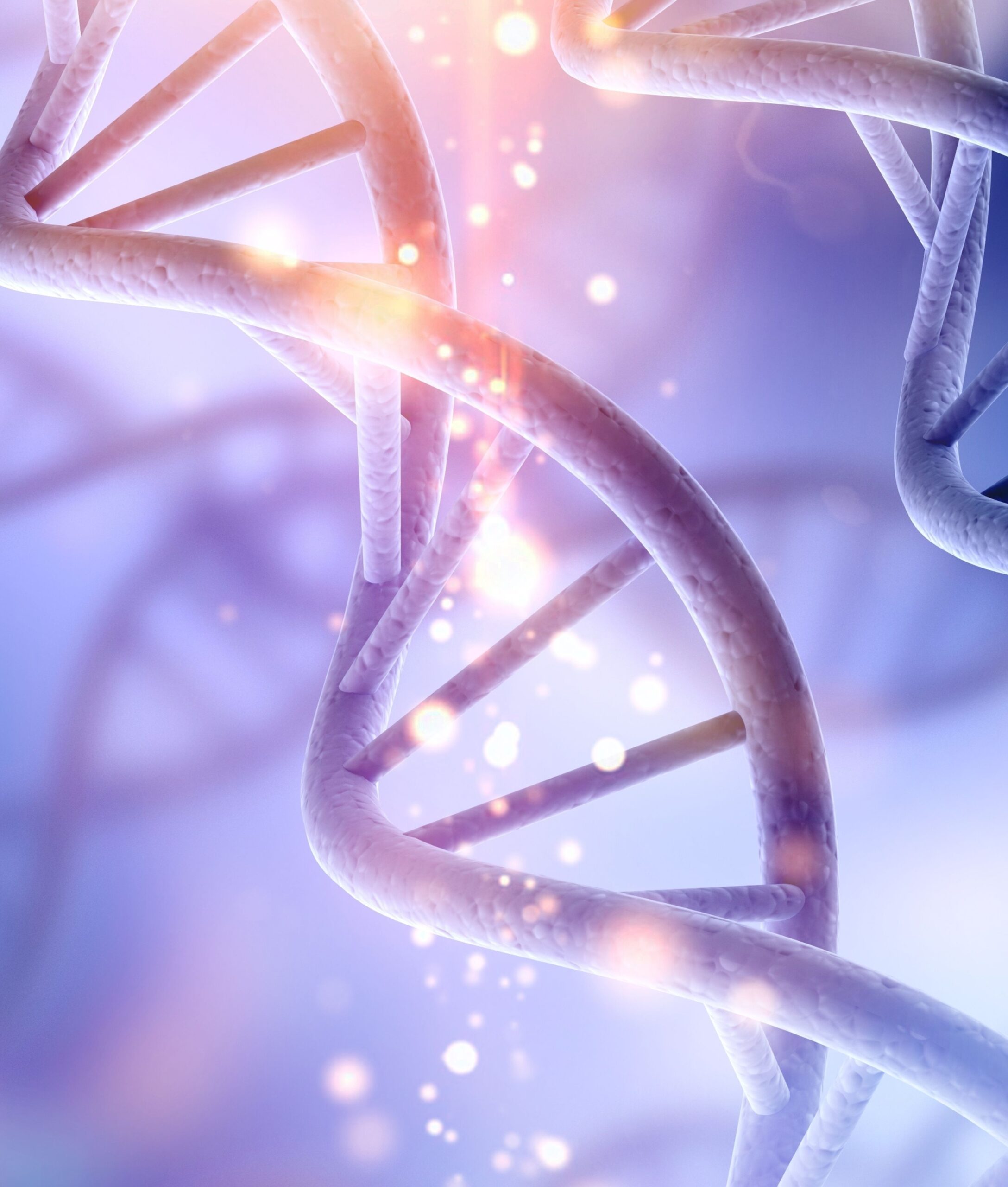  RNA2seg: a generalist model for cell segmentation in image-based spatial transcriptomics 