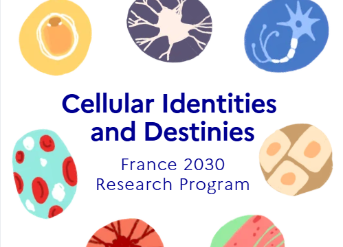  Cell-ID’s annual scientific and NEXT-ID 4Y 2026 