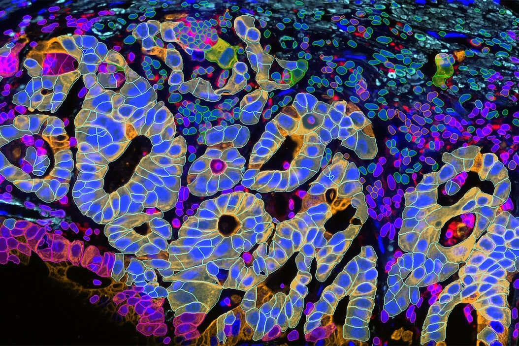  Workshop on Frontiers in Multiplexed Imaging 
